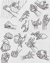 Hand Reference Drawing Hands Anatomy Arm Study Choose Board Sketches Draw sketch template
