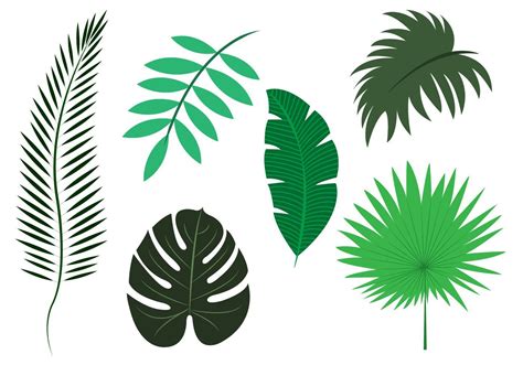 vector set  palm leaves leaf template leaf stencil paper flowers