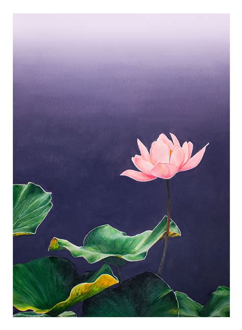 Pin By John Markese On Flower Watercolor Lotus Flower Painting