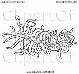 Nudibranch Slug sketch template