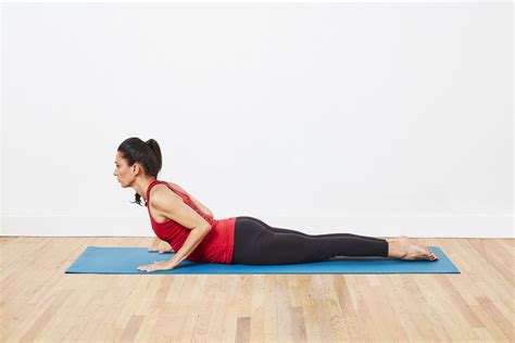 yoga poses  beginners
