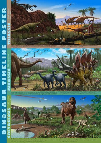 bright  colourful dinosaur timeline poster dinosaur park dinosaur