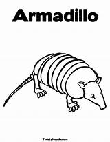 Armadillo Coloring Pages Twistynoodle Kids Book sketch template