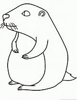 Groundhog Woodchuck Cartoon Clipart Clip Line Coloring Drawing Drawings Cliparts Print Animals Clipartbest Library Pages sketch template