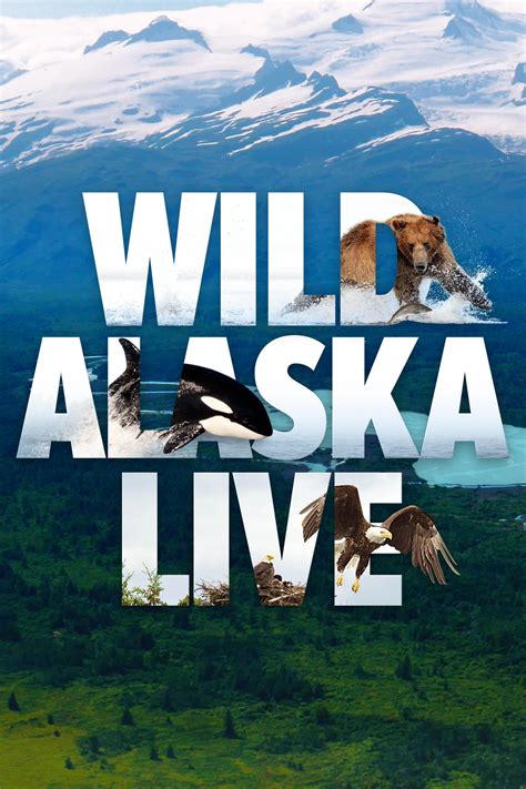 Wild Alaska Live Programs Pbs Socal