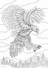 Eagle Eagles Favoreads sketch template