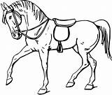 Horse Outlines Outline Coloring Clipart Drawing Line Clip Svg Book sketch template
