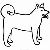 Akita Coloring Pages Icon Ken Dog Breed Inu Husky Japanese Getcolorings Dogs Iconfinder Frise Bichon Getdrawings sketch template