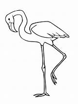 Flamingo Coloring Bird Pages Pink Flamingos Simple Printable Kids Colouring Color Animal Supercoloring Drawing Print Categories Printables sketch template