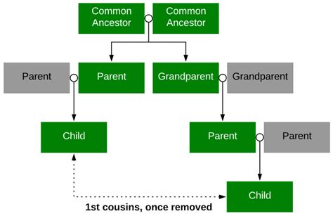 Cousin Relationships — How Do You Calculate Cousins Genealogy Explained
