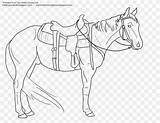 Saddle Mustang Tack sketch template