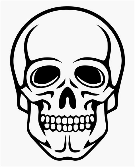 png file skeleton drawing  death skull transparent png kindpng