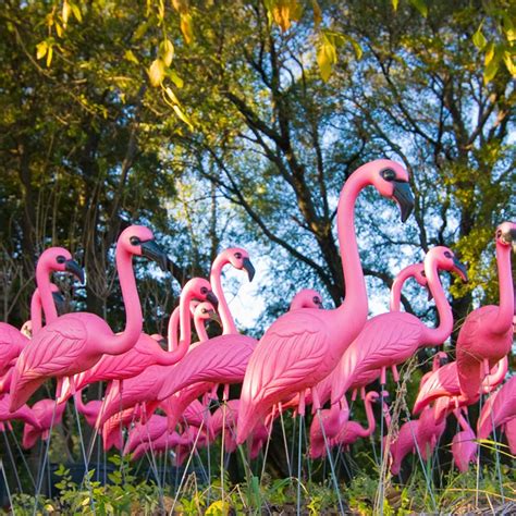 11 Tacky Lawn Ornaments That Need To Stay In Storage Plastic Flamingo
