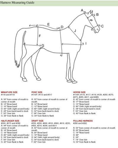 draft horse harness parts diagram paarden
