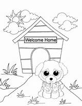 Beanie Coloring Pages Boo Puppy Printable Baby Webkinz Sheets Boos Colouring Kids Dog Print Graph Dogs Getcolorings House Cats Sprout sketch template