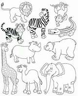 Ausmalen Dschungeltiere Zootiere Vorlagen Schablone Zeichnen sketch template