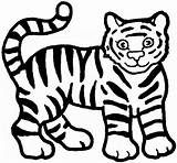 Tiger Coloring Pages Color Animals Print Animal Back sketch template