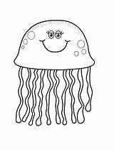 Jellyfish Bok Quallen Malvorlagen Snubberx Qualle Designlooter sketch template