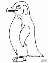 Coloring Emperor Penguins Penguin Designlooter Kidsplaycolor sketch template