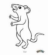 Coloring Critter Pages Unclebills Rat sketch template