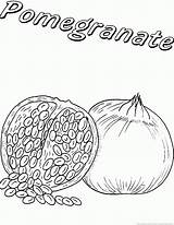 Pomegranate Coloring Pages sketch template