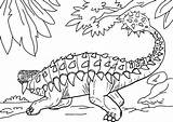Ankylosaurus Coloring Dinosaur Pages Armoured Children Great sketch template