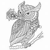 Owl Verbnow sketch template