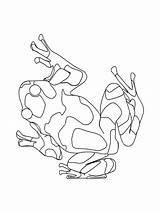 Grenouilles Ranocchi Frosche Animali Frogs Rana Gifgratis Preleva Prend sketch template