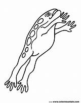 Frog Leap Drawing Coloring Getdrawings sketch template