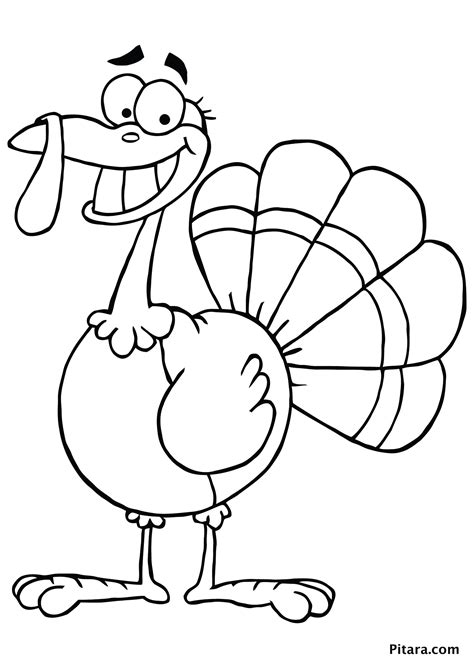 turkey coloring pages  kids pitara kids network