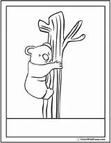 Koala Coloring Pages Look Over Kids Colorwithfuzzy sketch template