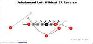 wildcat youth football plays  formations