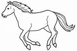 Fazenda Cavalo Pintar sketch template