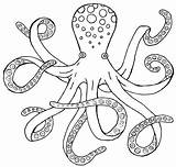 Octopus Drawing Outline Clipart Simple Realistic Clip Line Step Cartoon Drawings Cute Easy Draw Vector Cliparts Painting Coloring Kids 2010 sketch template