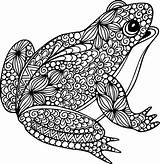 Frogs Zentangle Frosch Grenouille Colorir Toads Delightful Ausmalen Colouring Erwachsene Ornamental Ranas Ausmalbilder Tiere Colorier Rooster Sapo Malvorlagen Outline Pyrogravure sketch template