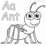 Ant Formiga Colorir Ants Imprimir Wikiclipart Freepngclipart sketch template