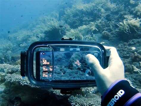 underwater cameras   future business passionate  marketing