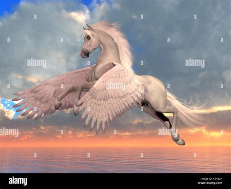 horse wings  res stock photography  images alamy