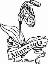 Minnesota Coloring Pages Wild State Flowers Flower Kids Sheets Color Printable Getcolorings Flag Getdrawings Choose Board Print sketch template