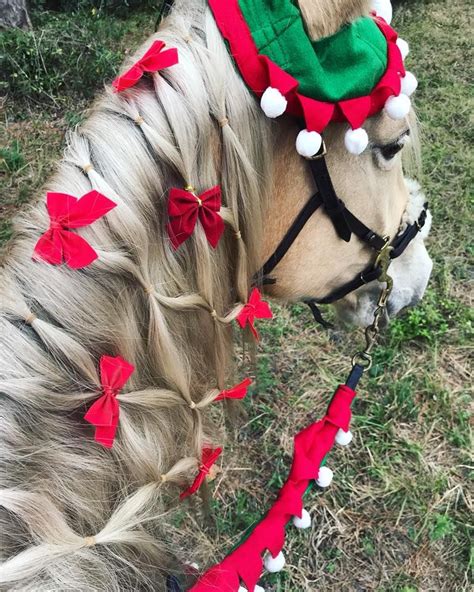 pin  lucka ron  equine christmas horses christmas horse costumes
