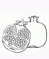 Pomegranate Coloring Pages Seeds Red Clipart Fruit Fruits Clip Library Template Cliparts Gif sketch template