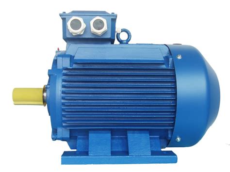 high voltage  phase induction motor squirrel cage induction motor