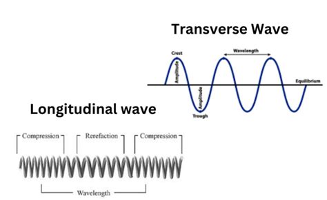difference  longitudinal  transverse wave
