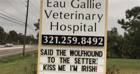 30 Funny Vet Clinic Names And Signs Which Are Ridiculously Amusing