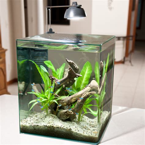 gallon fish tank  aquarium kit  sale  reviews