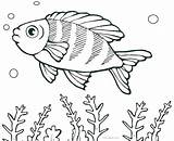 Coloring Fishing Pages Lure Getcolorings sketch template