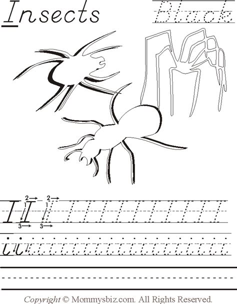 images  insect worksheets  kindergarten  printable preschool worksheets