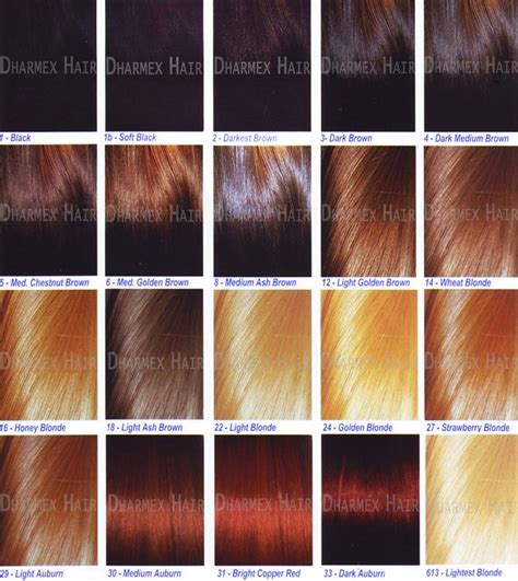 buy hair color chart  dharmex indian hair exports india id