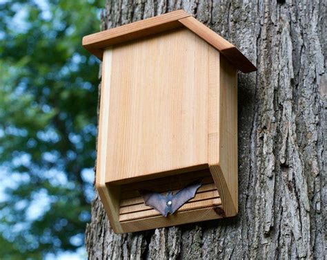 wooden birdhouse attached   side   tree