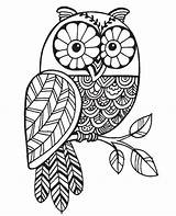 Zentangle Mandalas Buho Buhos Stampendous Cling Owls Franticstamper Hibou Vendu Vendido sketch template
